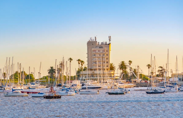 乌拉圭海关数据查询平台（附免费试用查询名额)